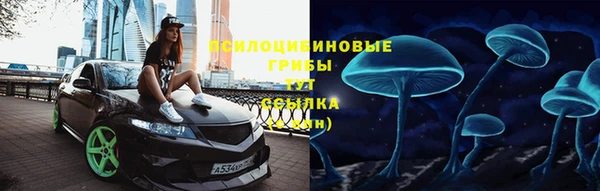 МДПВ Ладушкин
