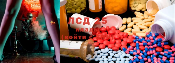 ECSTASY Лабытнанги